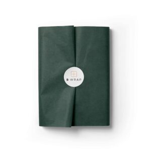 Tissue Paper - Green - 51x76cm