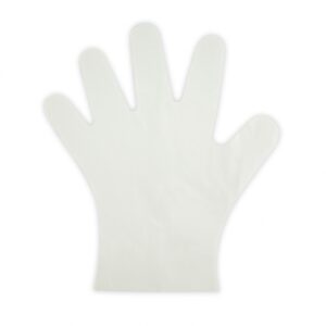Compostable Glove Large