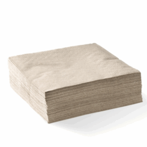 Dinner Napkin 2 Ply - Natural