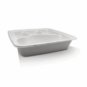 Sugarcane Square 4 Compartment Tray - White